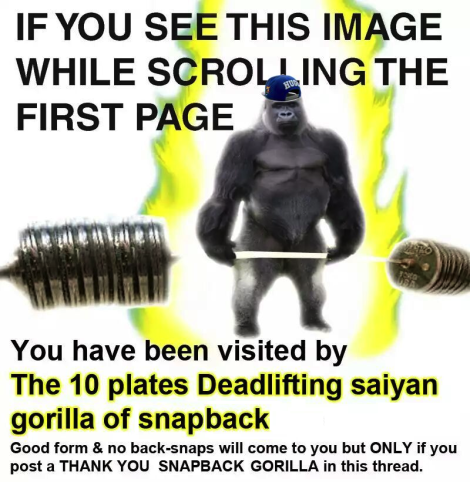 snapback-gorilla